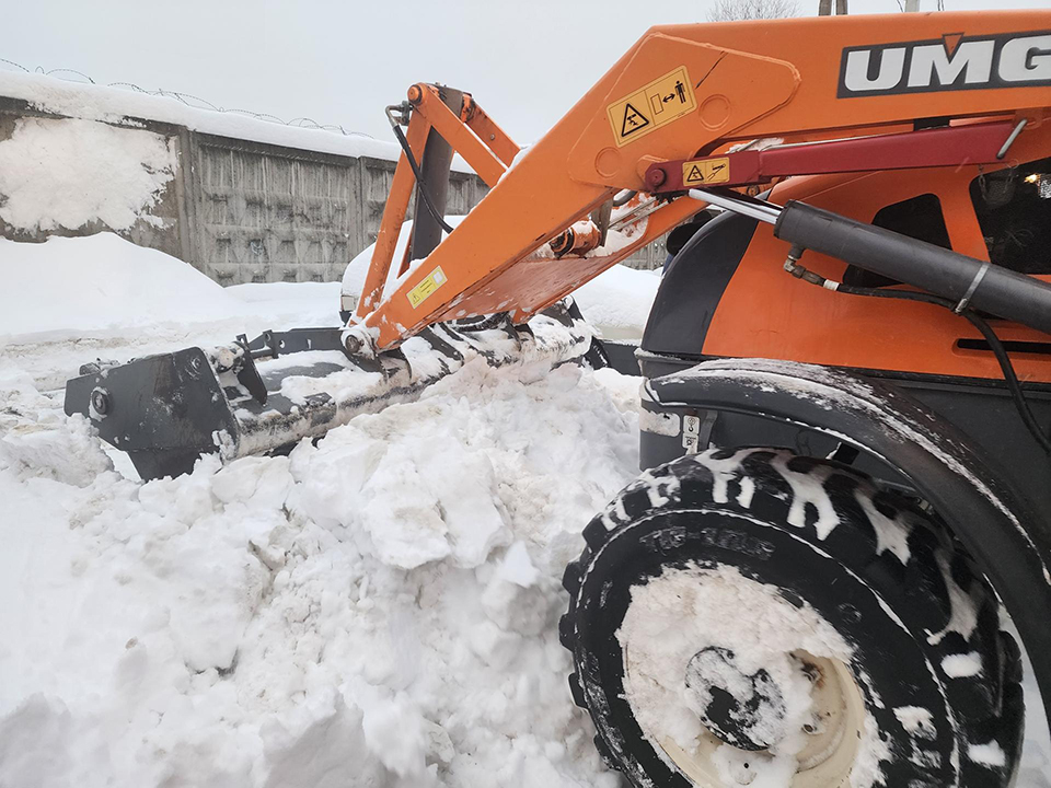 Фото: МедиаБанк Подмосковья/Екатерина Мелкозерова