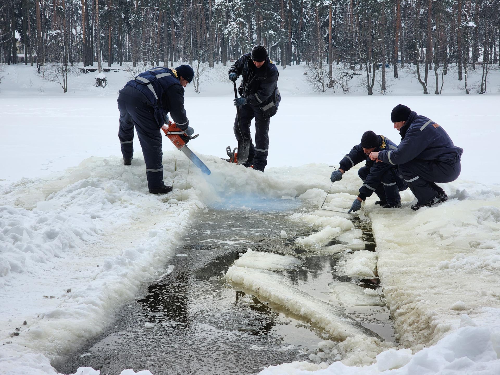 Фото: МедиаБанк Подмосковья/Ирина Моисеева