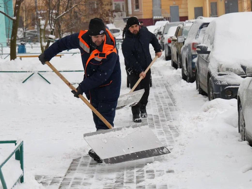 Фото: t.me/yrovsg