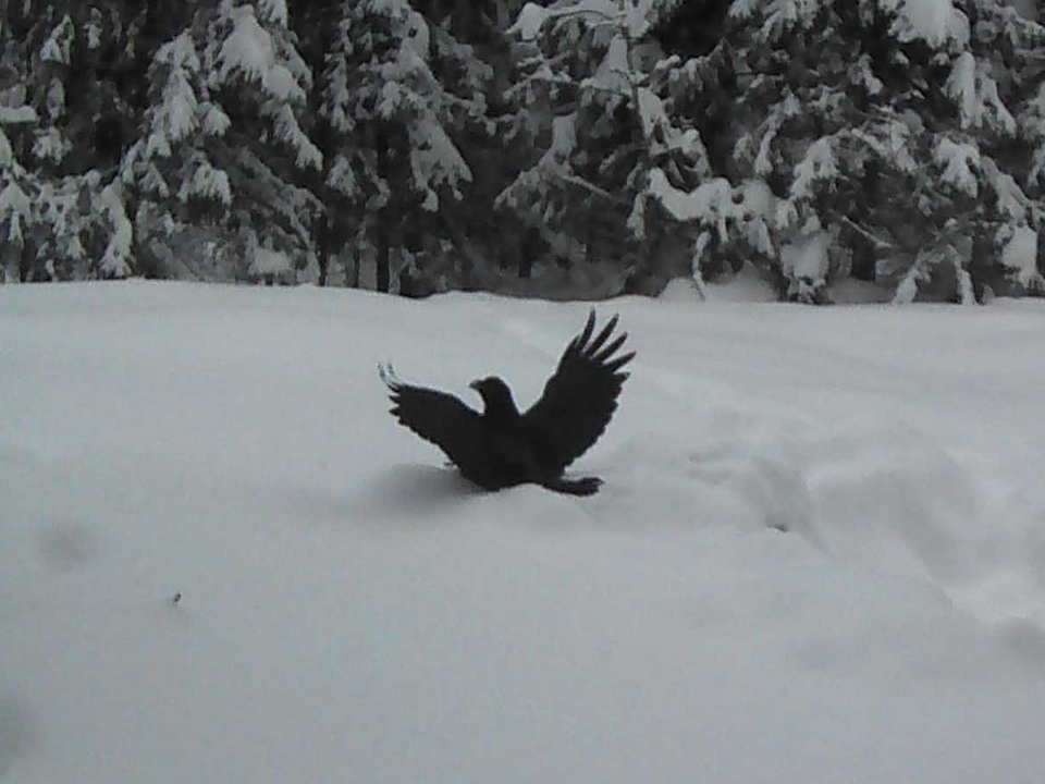 Фото: Василий Потапов