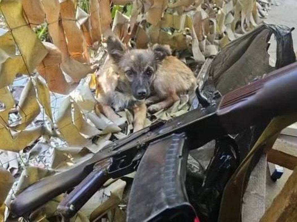 Фото: МБОУ СОШ № 12