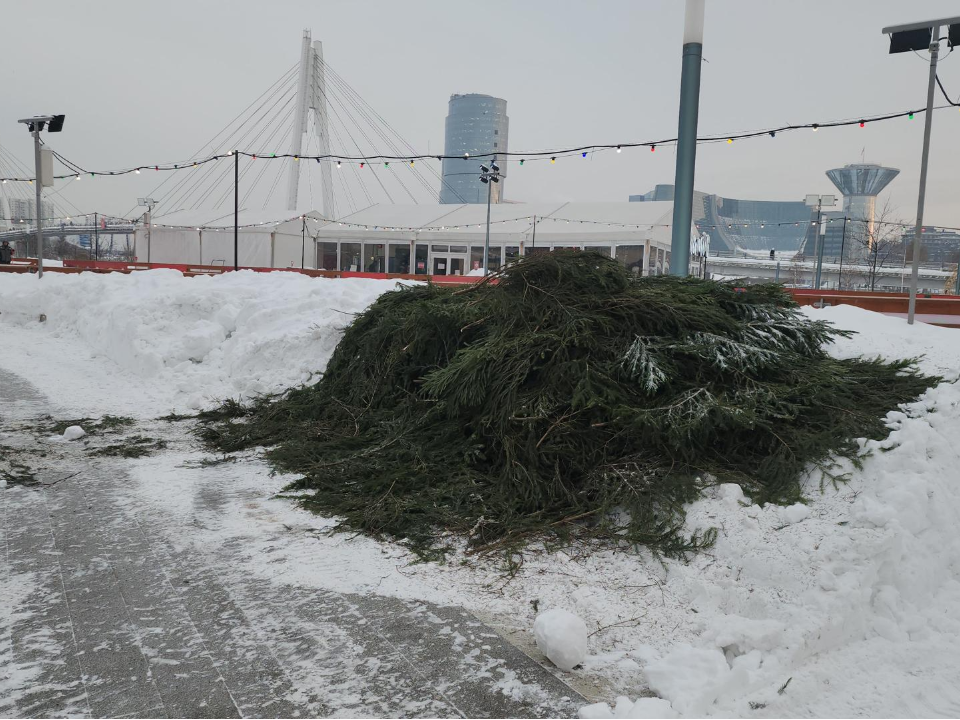 Фото: МедиаБанк Подмосковья/Кристина Ларина
