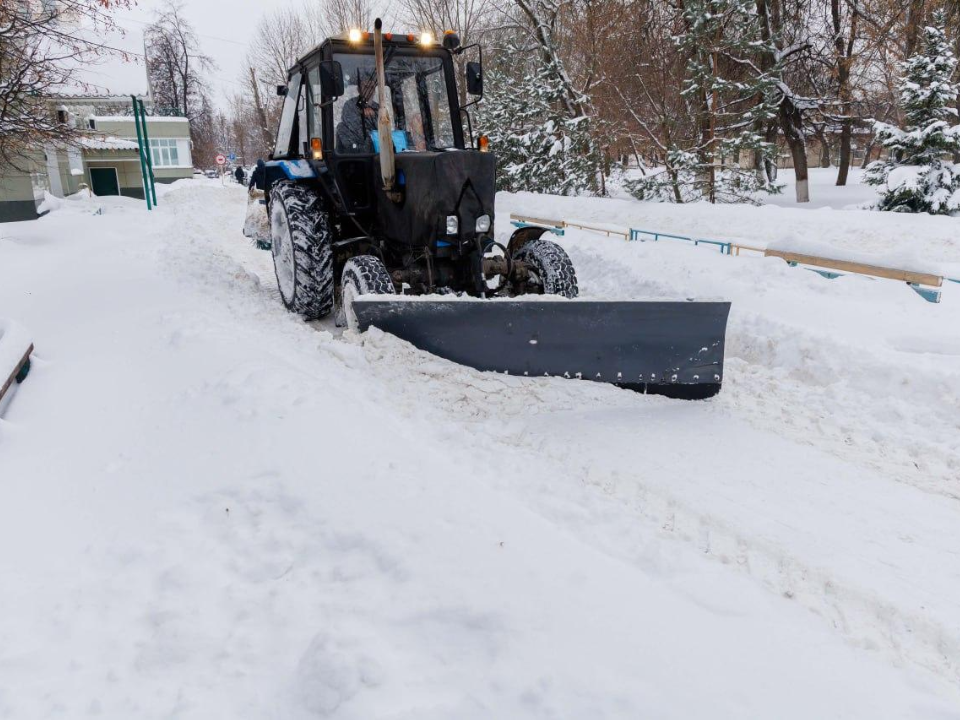 Фото: МедиаБанк Подмосковья/Наталья Лымарь