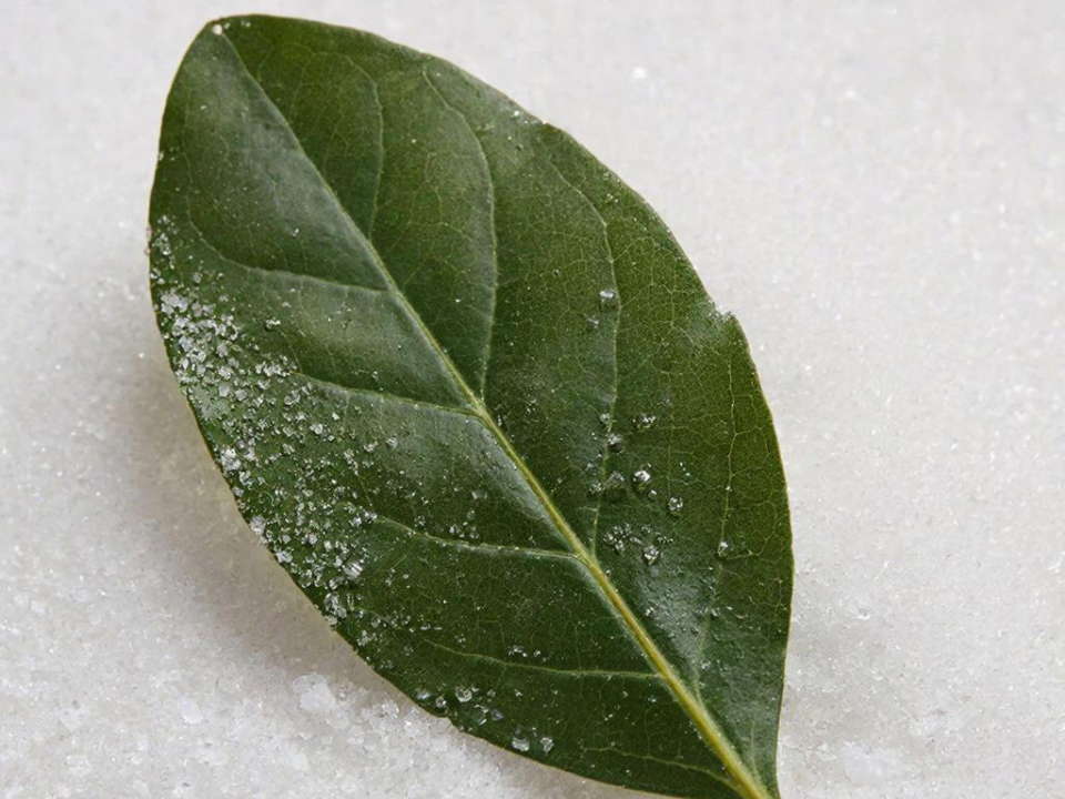 Фото: REGIONS/Сгенерировано нейросетью