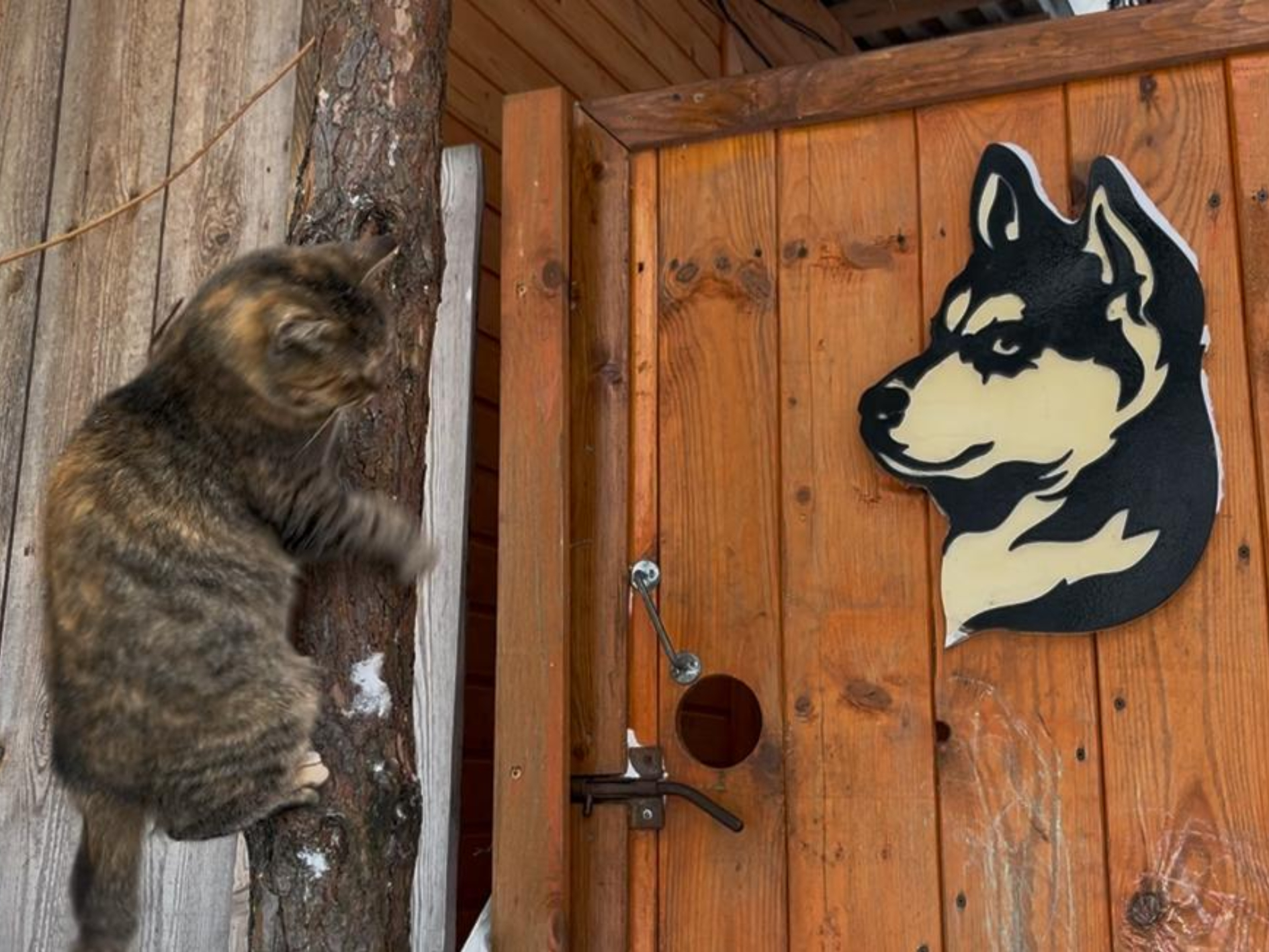 Фото: МедиаБанк Подмосковья/Ангелина Стельмух