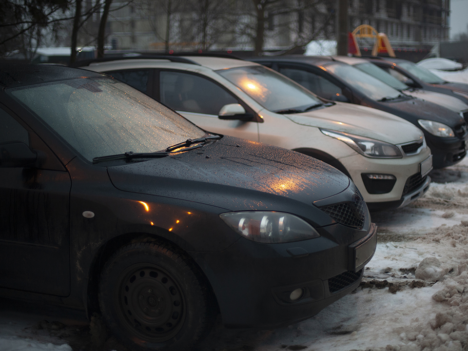 Фото: istockphoto.com/Олег Копьев