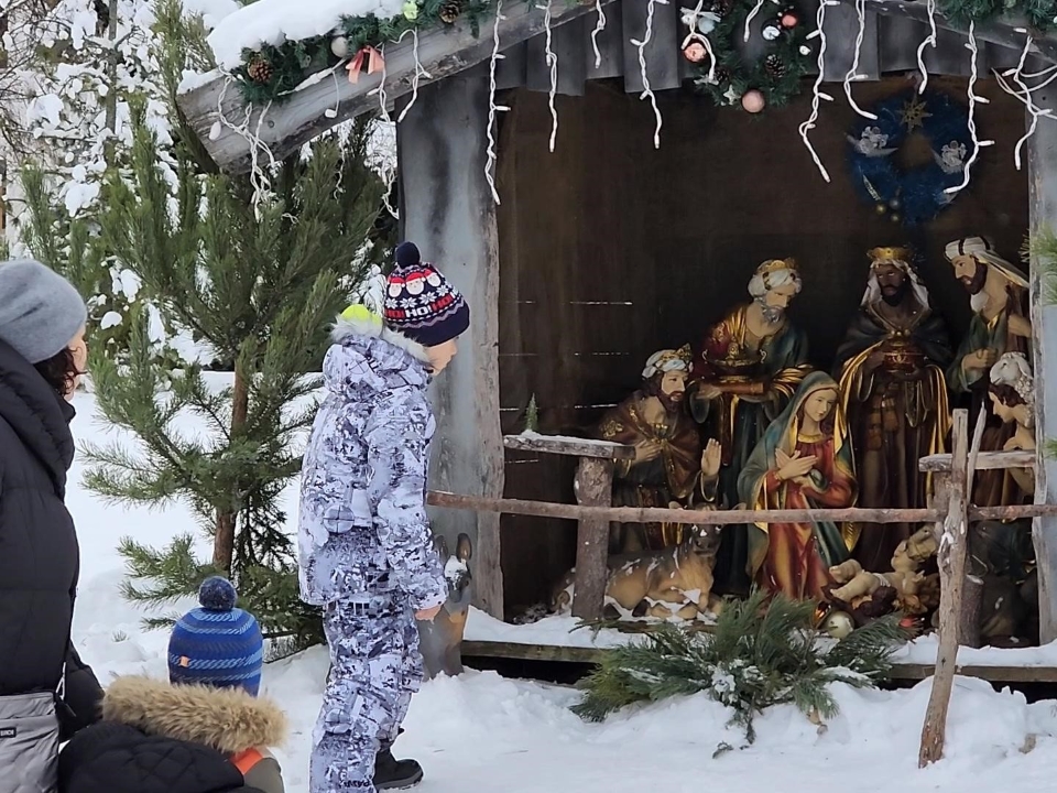 Фото: МедиаБанк Подмосковья/Дмитрий Алексеенко