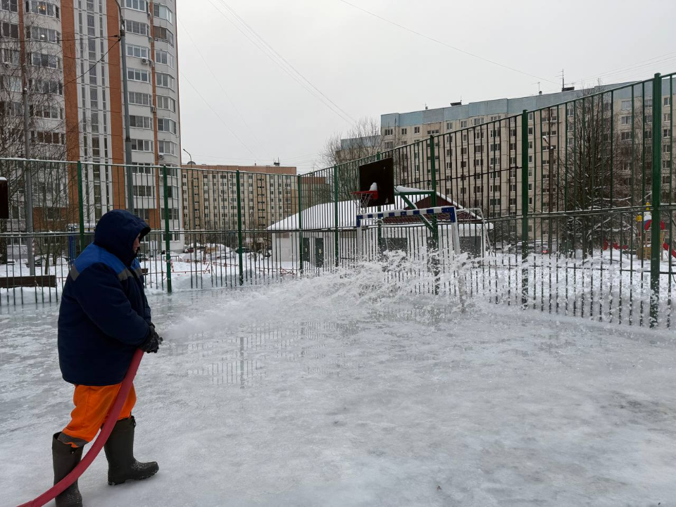 Фото: пресс-служба администрации г. о. Красногорск