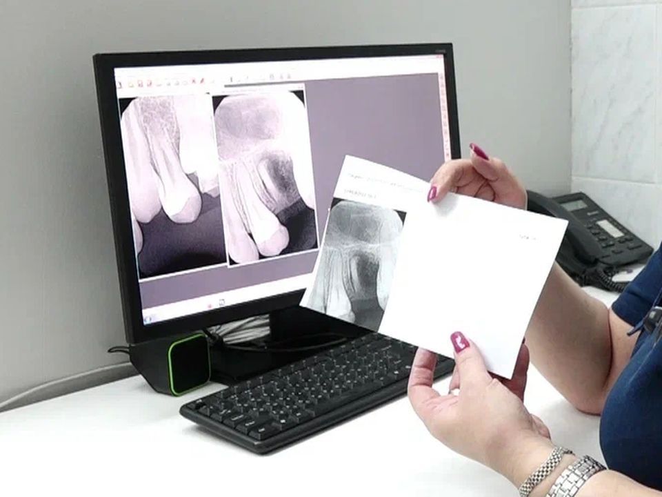 Фото: REGIONS/Наталия Надточая