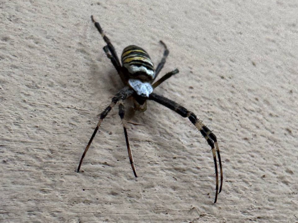 Фото: REGIONS/Владимир Ерастов