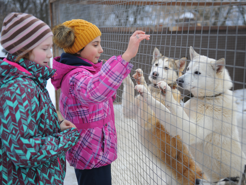 Фото: медиасток.рф