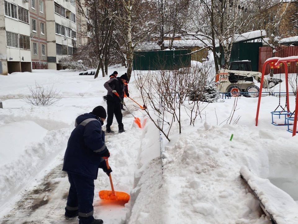 Фото: МедиаБанк Подмосковья/Дмитрий Алексеенко