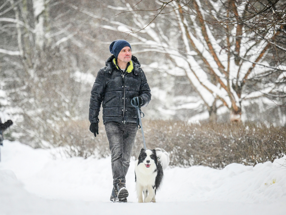 Фото: РИА Новости/Юрий Кочетков