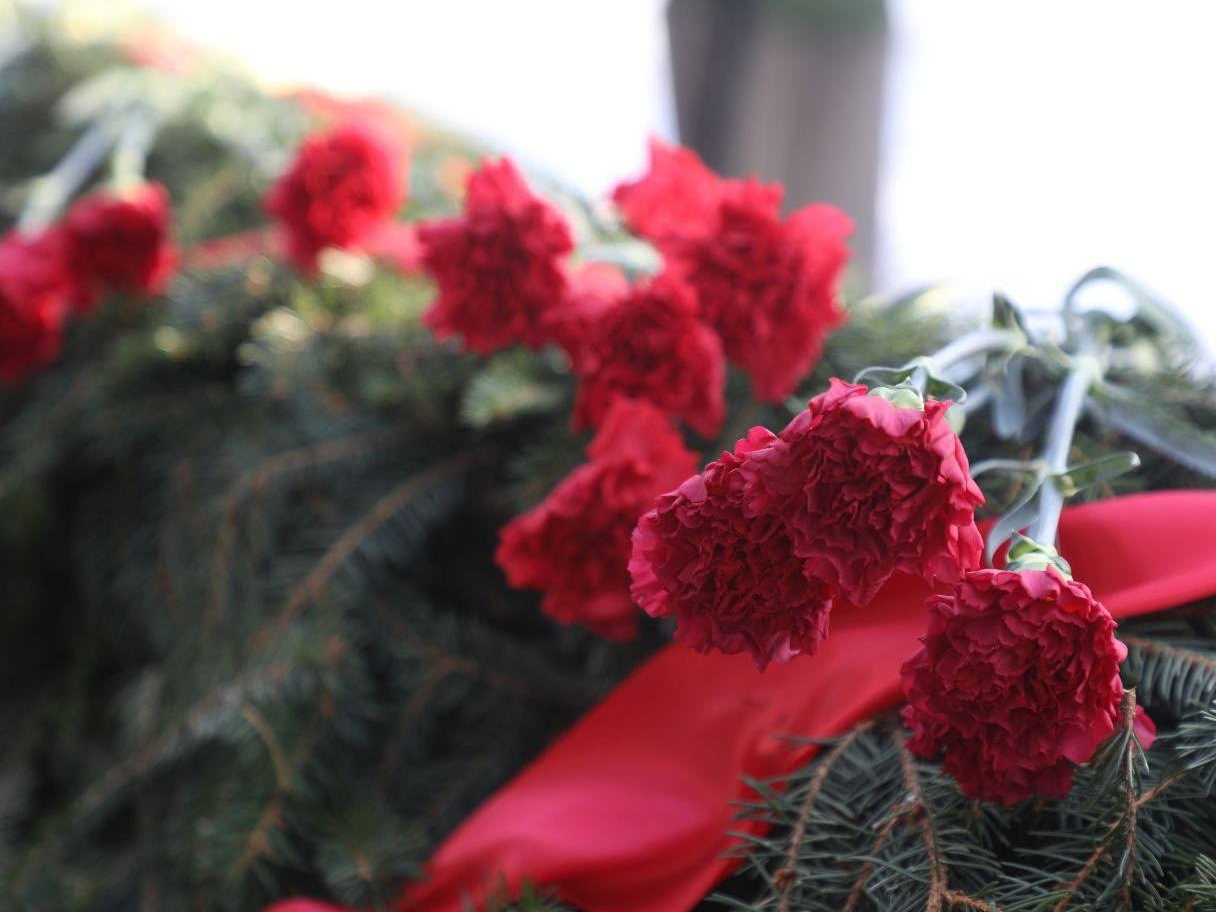 Фото: пресс-служба администрации Наро-Фоминского г.о.              