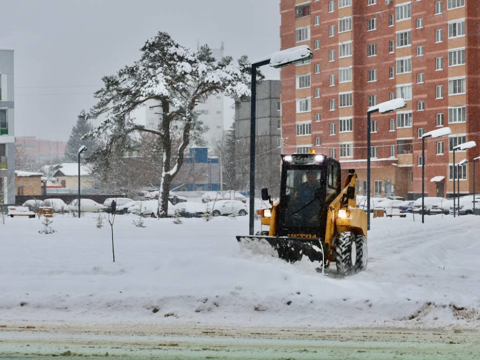 Фото: пресс-служба администрации Павло-Посадского городского округа