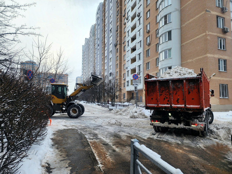 Фото: Мария Овчинникова