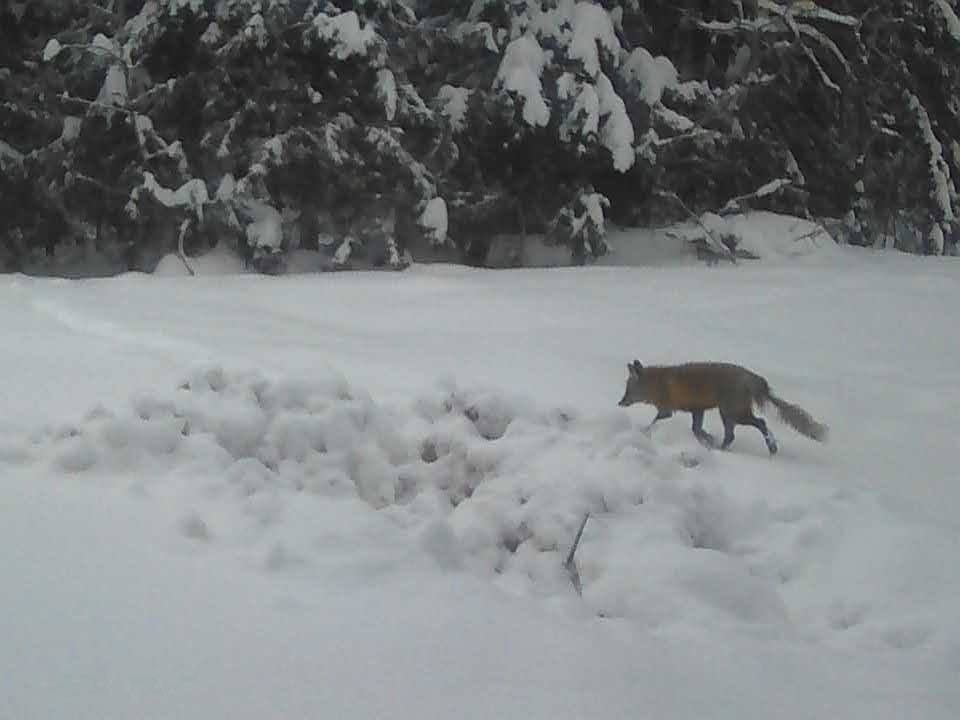 Фото: Василий Потапов