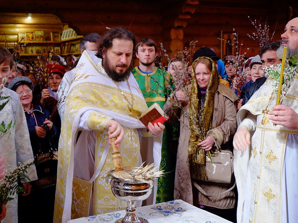 Фото: медиасток.рф