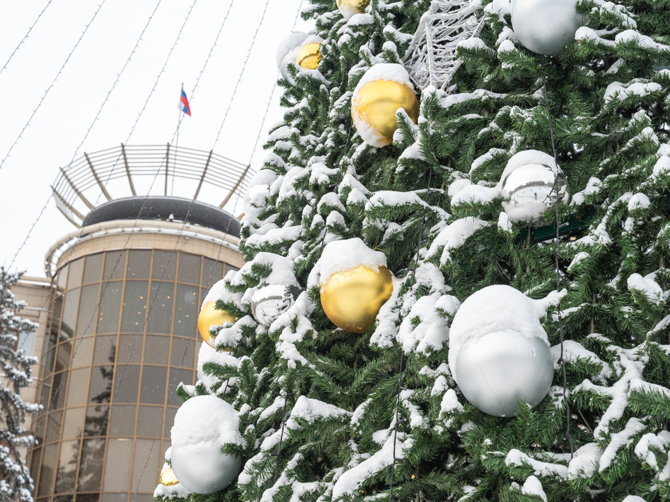 Фото: администрация г.о. Реутов