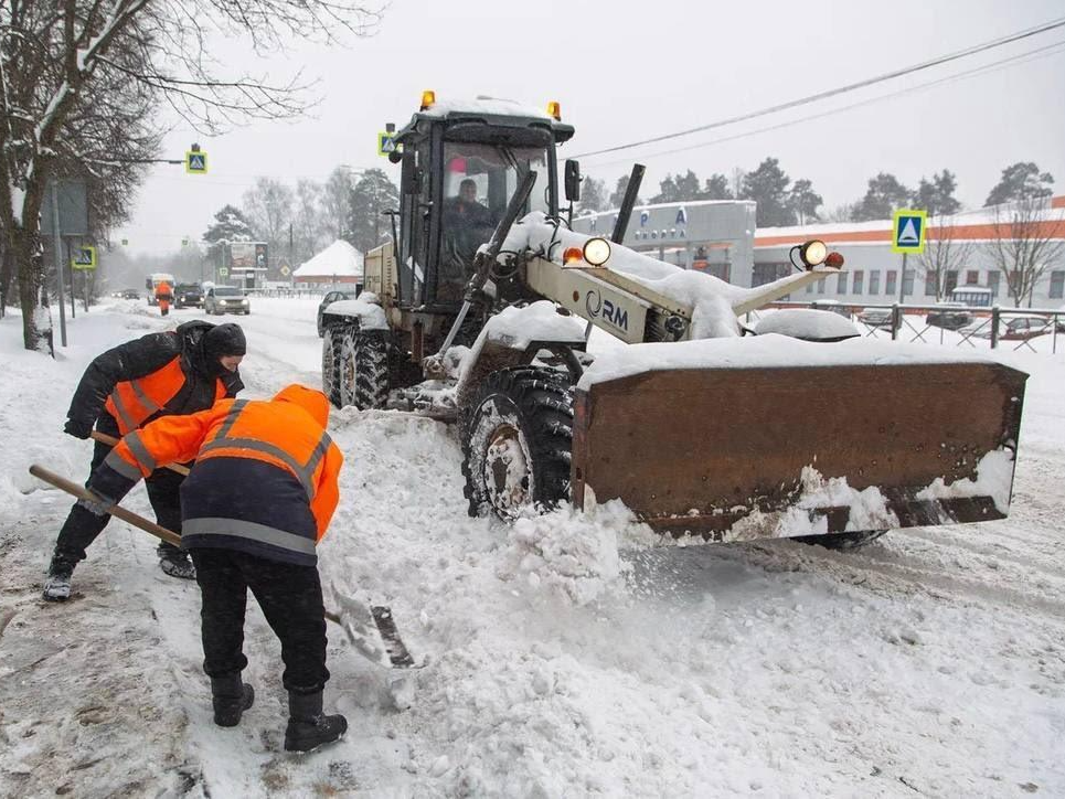 Фото: пресс-служба администрации Наро-Фоминского г.о.  