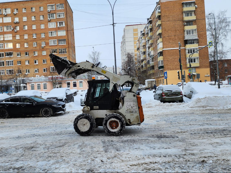 Фото: МедиаБанк Подмосковья/Екатерина Федосеева