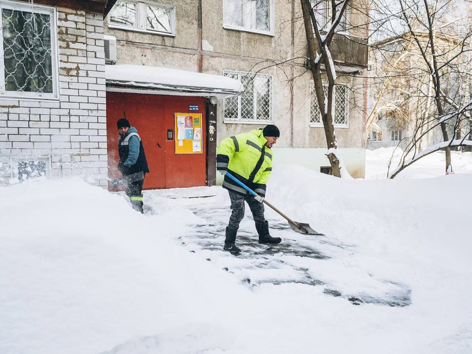 Фото: пресс-служба администрации г.о. Щелково