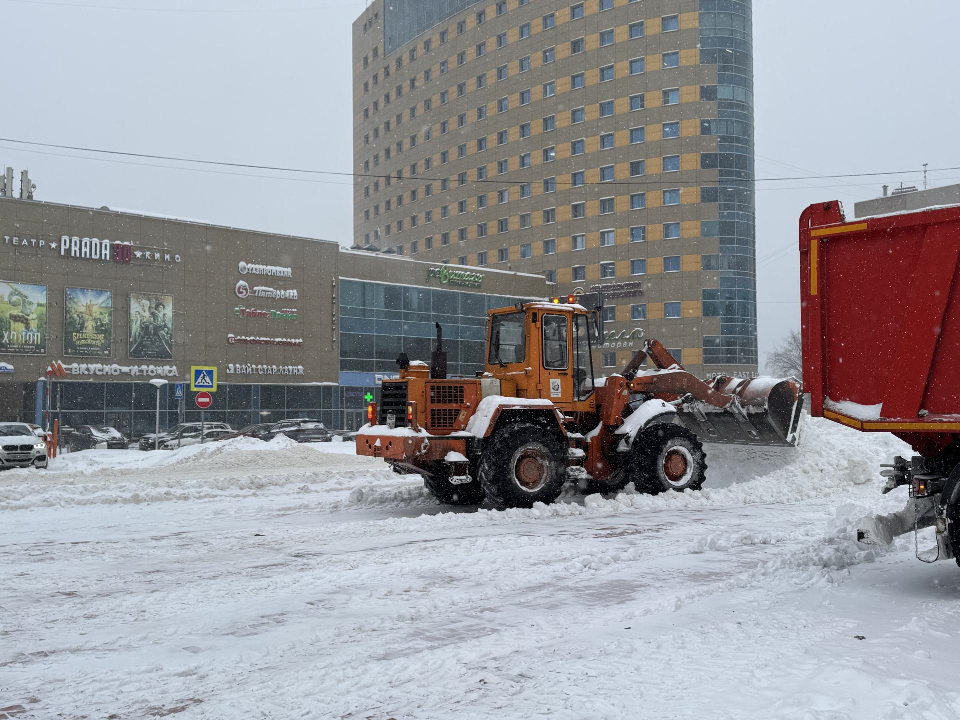 Фото: Виктория Фортуна