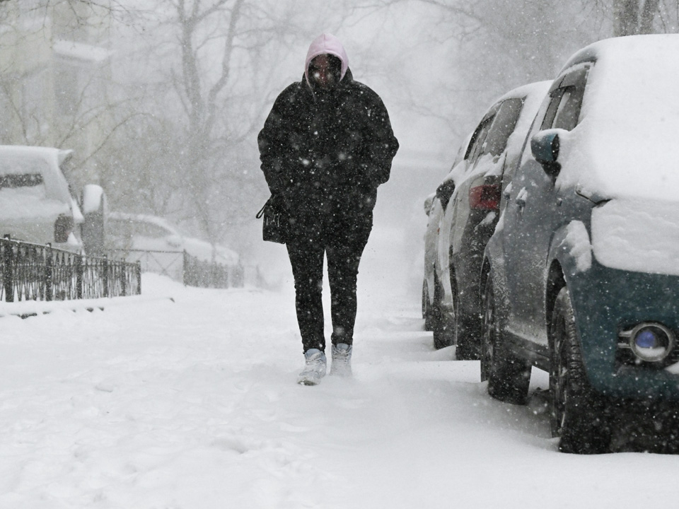 Фото: РИА Новости/Виталий Аньков