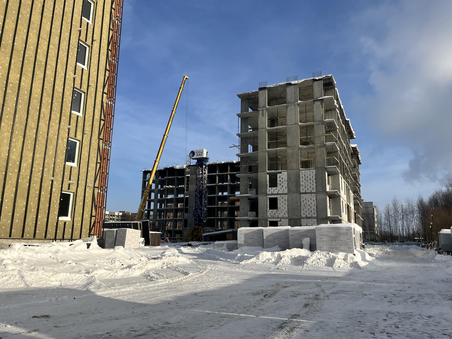 Фото: МедиаБанк Подмосковья/Ангелина Стельмух