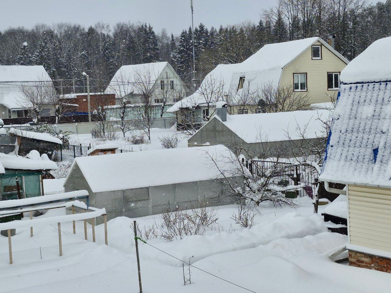 Фото: REGIONS/Наталия Надточая