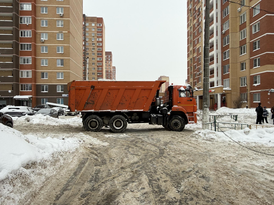 Фото: МедиаБанк Подмосковья/Анна Дука
