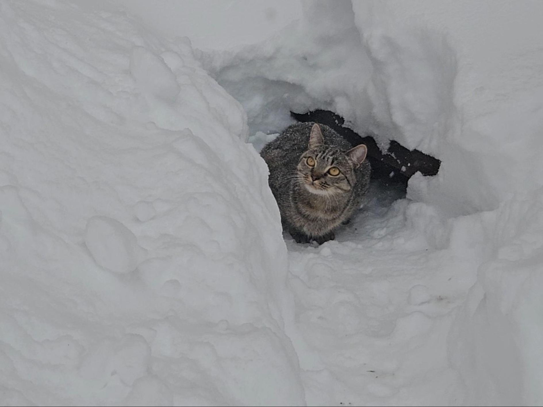 Фото: МедиаБанк Подмосковья/Ольга Вельшикаева