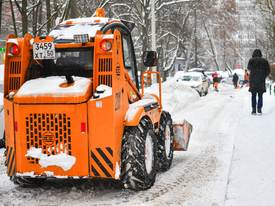 Фото: пресс-служба администрации г.о. Химки