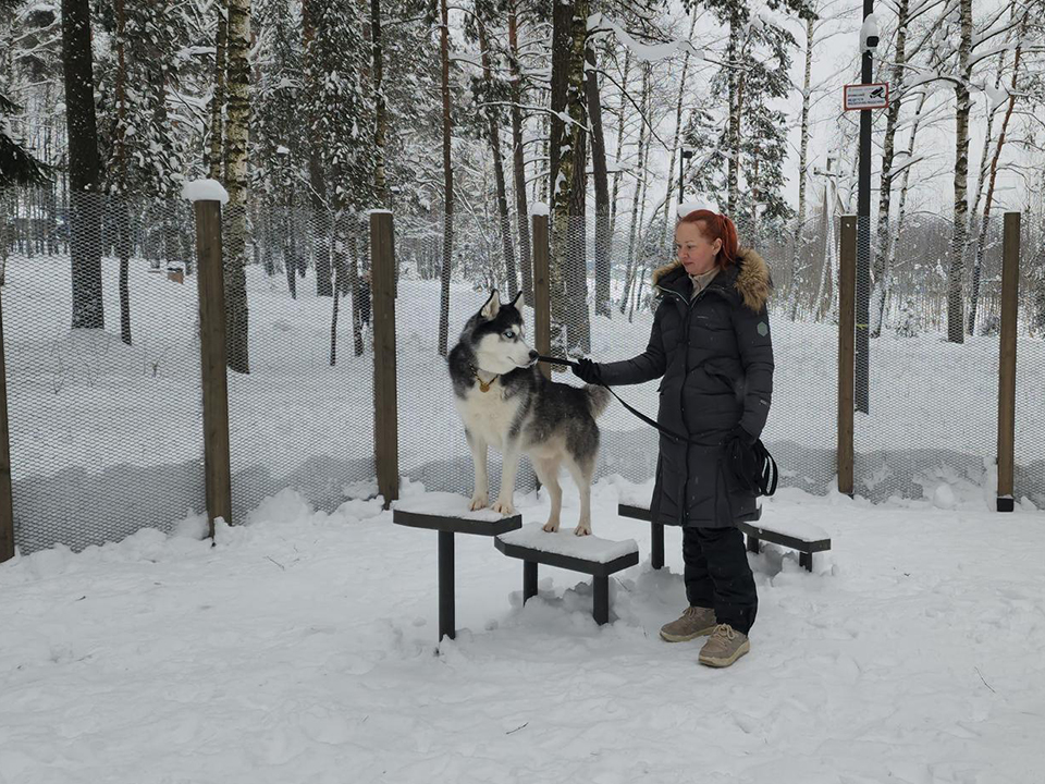 Фото: МедиаБанк Подмосковья/Екатерина Мелкозерова