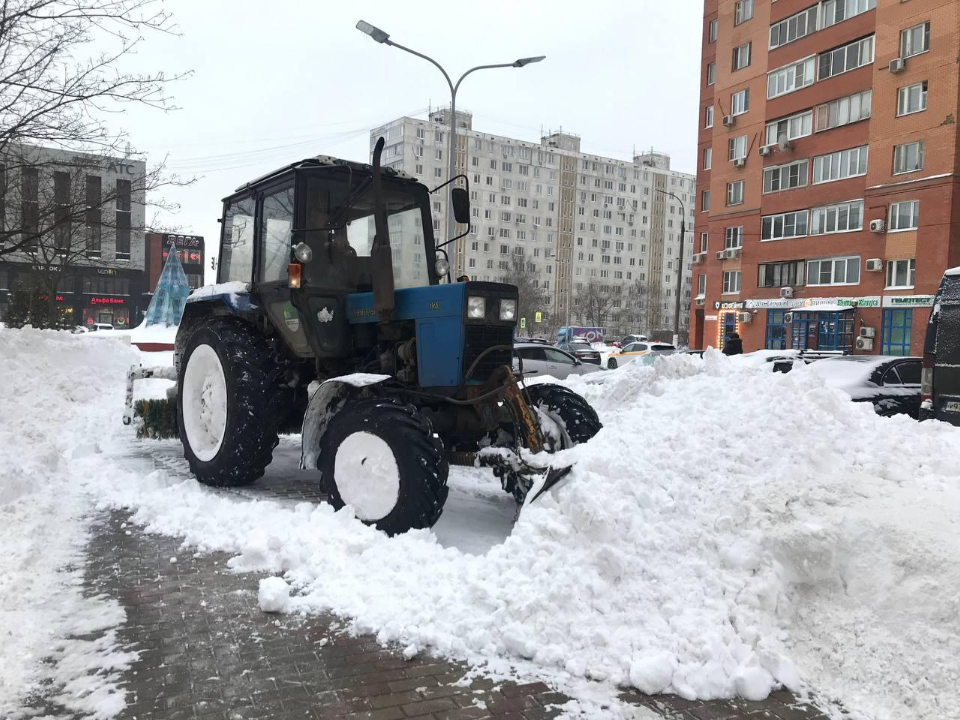 Фото: пресс-служба администрации г.о. Люберцы