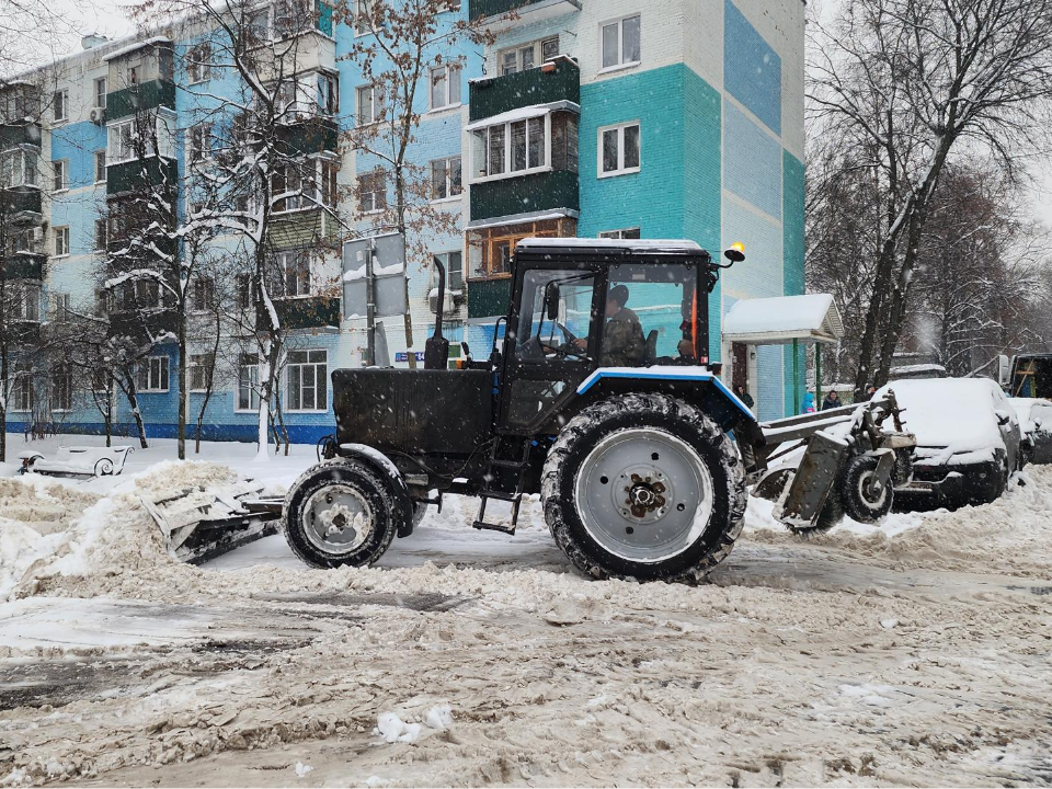 Фото: МедиаБанк Подмосковья/Наталья Лымарь