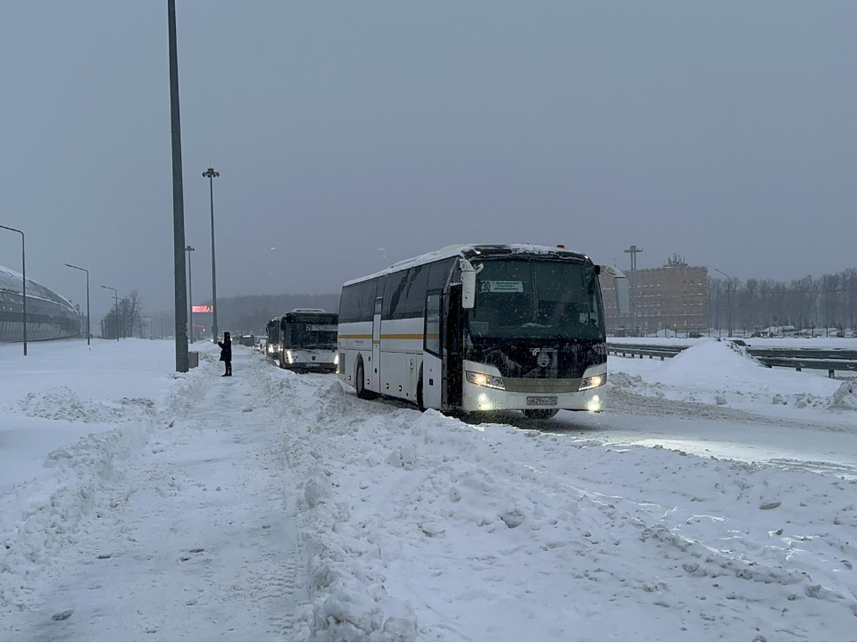 Фото: МедиаБанк Подмосковья/Эдуард Стратонов