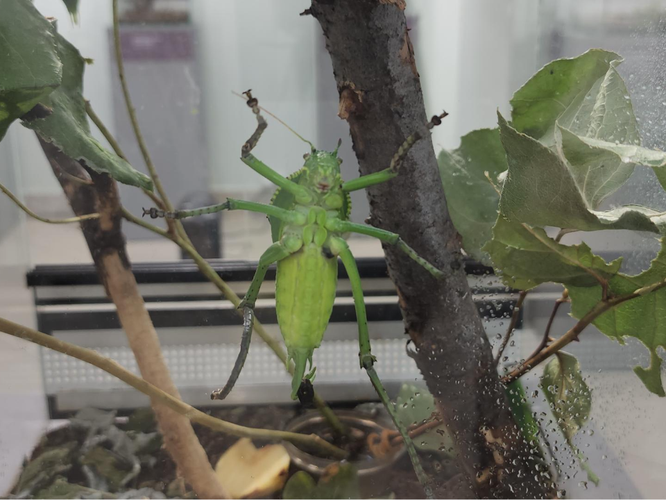 Фото: МедиаБанк Подмосковья/Наталья Лымарь