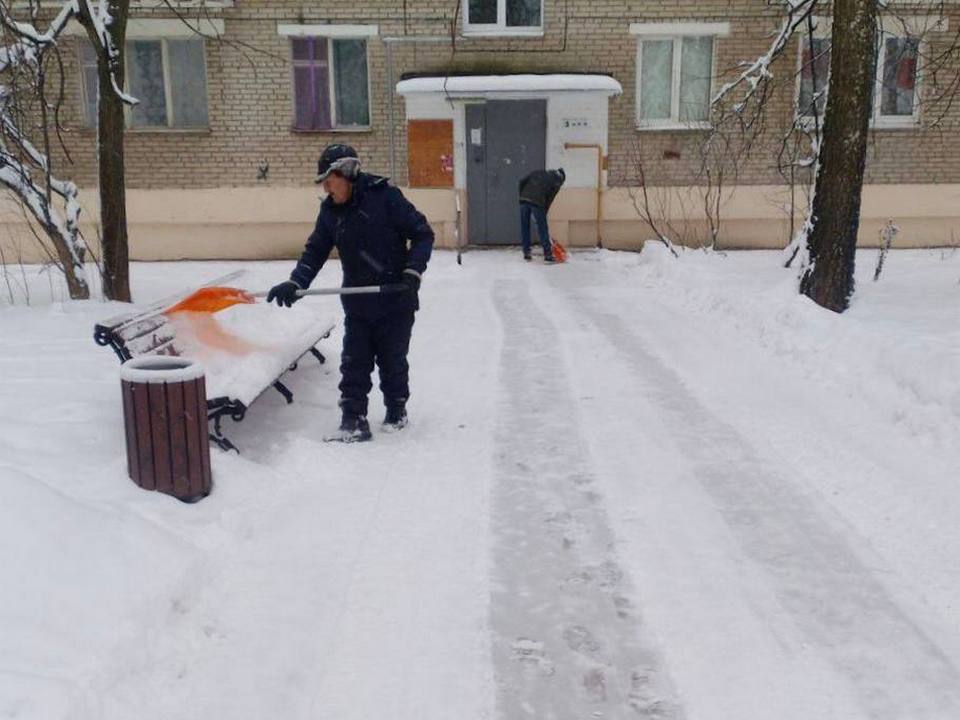 Фото: t.me/AnnaKrotova_Lobnya