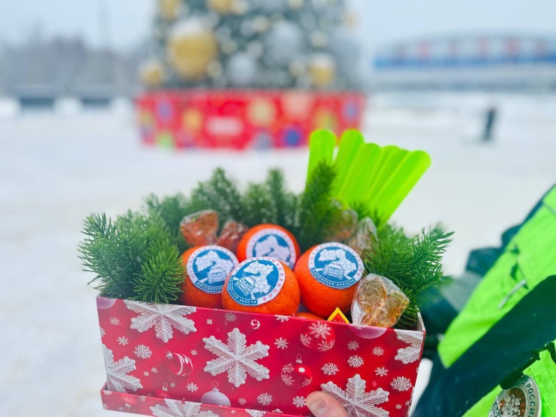 Фото: УВД г.о. Воскресенск