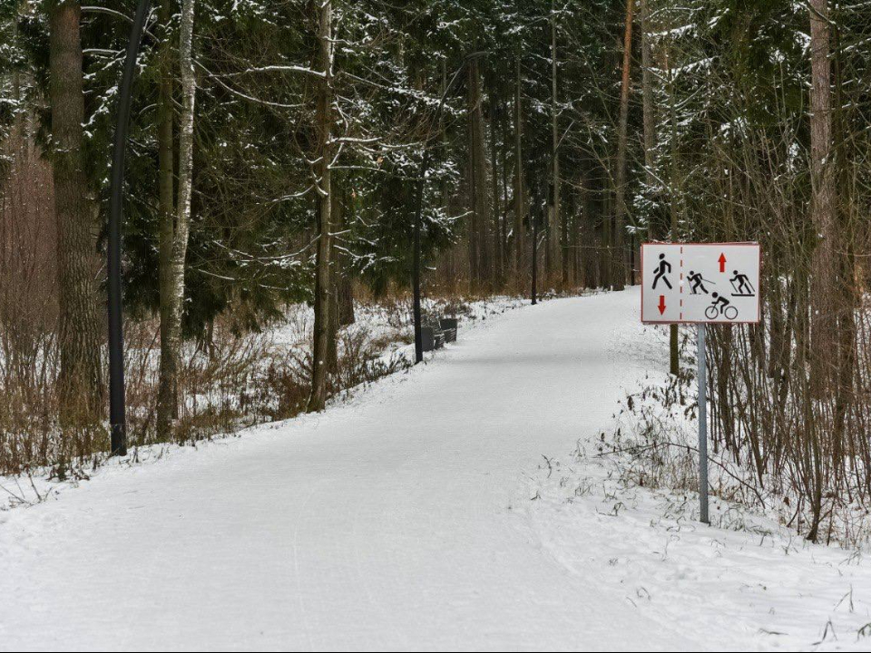 Фото: пресс-служба администрации Балашихи