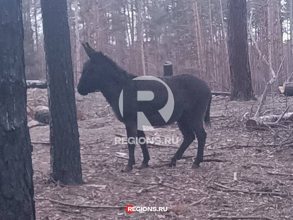 Фото: личный архив Валерия Сайгакова
