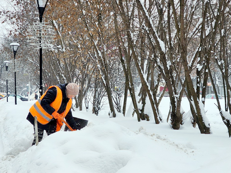 Фото: REGIONS/Ольга Аввакумова