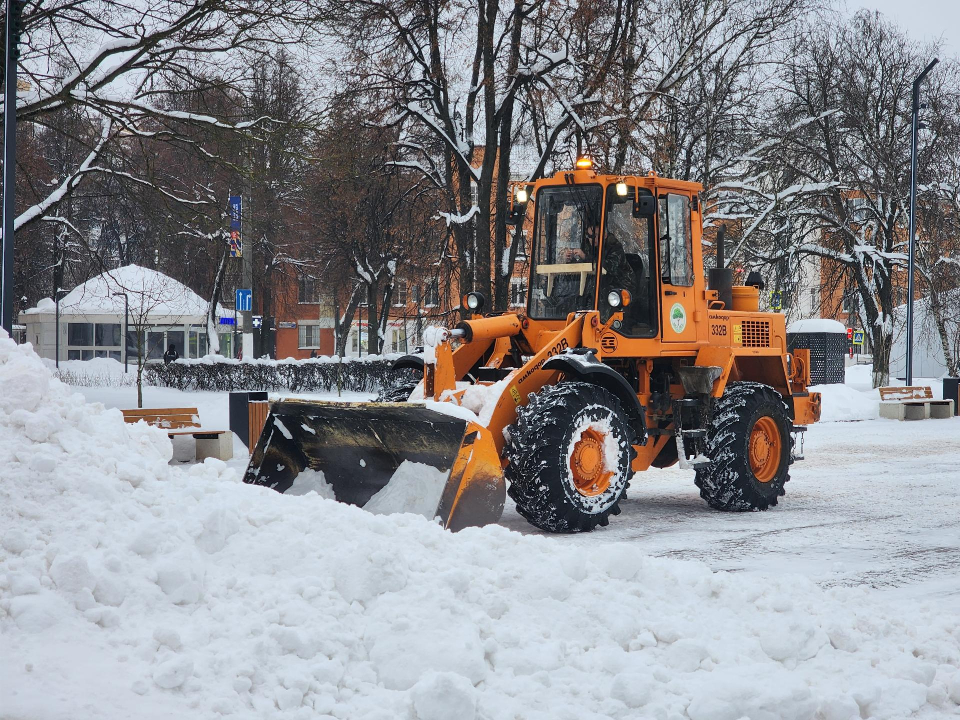 Фото: МедиаБанк Подмосковья/Мария Шигорева