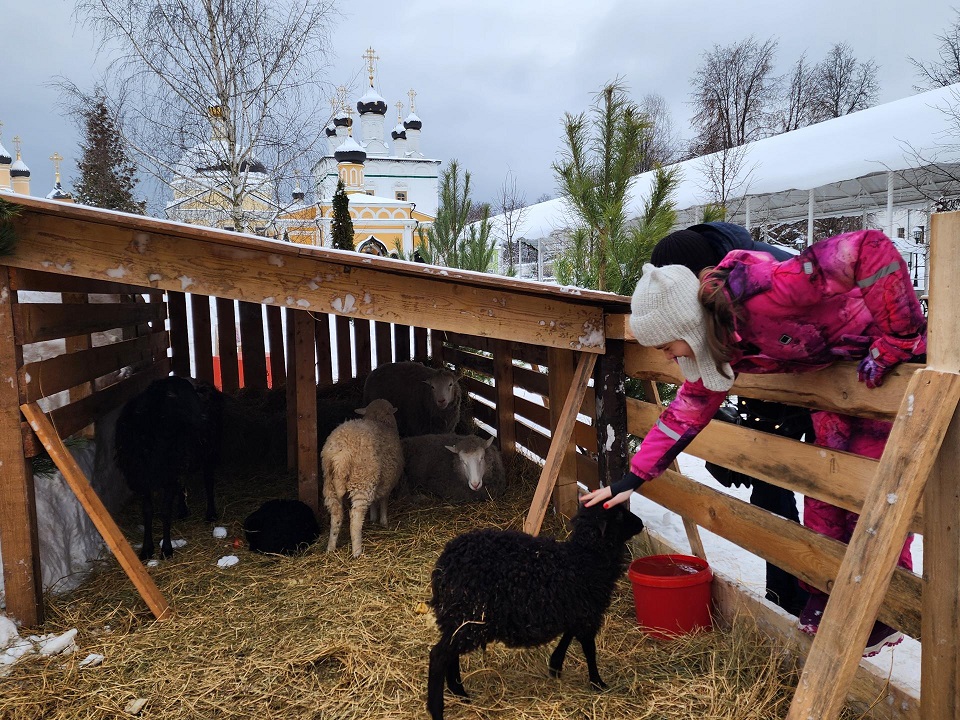 Фото: МедиаБанк Подмосковья/Дмитрий Алексеенко