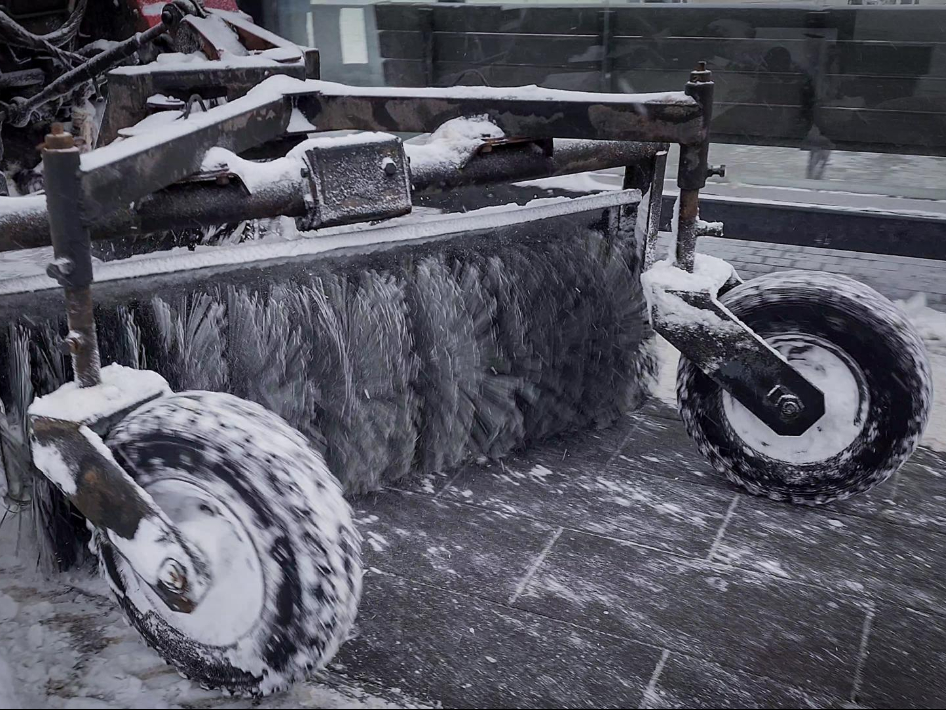 Фото: МедиаБанк Подмосковья/Ольга Антонова