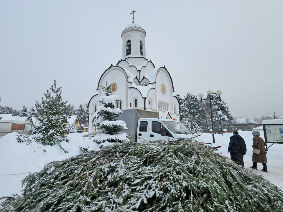 Фото: МедиаБанк Подмосковья/Артем Мишуков