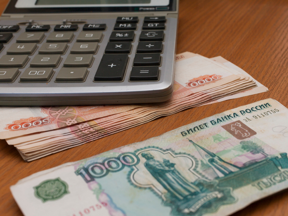 Фото: istockphoto.com/sobachka