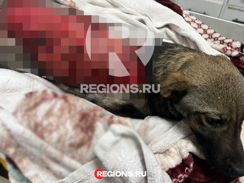 Фото: предоставлено Ольгой Ковальчук