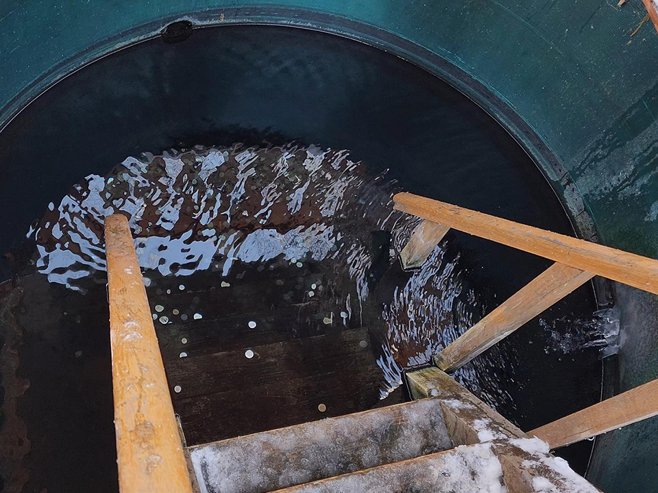 Фото: МедиаБанк Подмосковья/Екатерина Мелкозерова